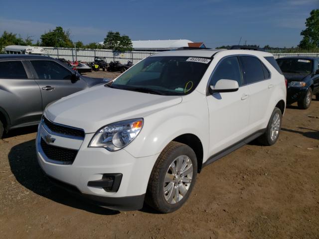 Photo 1 VIN: 2CNFLDEY8A6233099 - CHEVROLET EQUINOX LT 