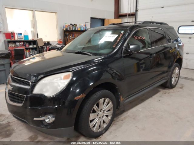 Photo 1 VIN: 2CNFLEE51B6257192 - CHEVROLET EQUINOX 