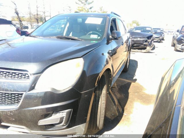 Photo 1 VIN: 2CNFLEE58B6423238 - CHEVROLET EQUINOX 