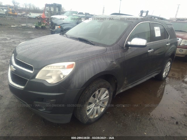 Photo 1 VIN: 2CNFLEE5XB6255540 - CHEVROLET EQUINOX 