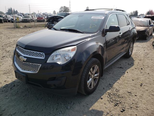 Photo 1 VIN: 2CNFLEEC3B6241302 - CHEVROLET EQUINOX LT 