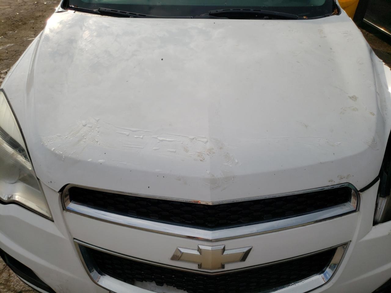 Photo 11 VIN: 2CNFLEEW0A6301903 - CHEVROLET EQUINOX 