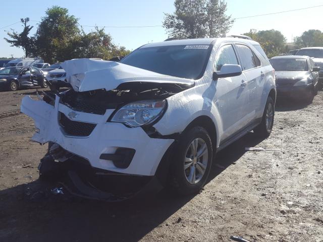 Photo 1 VIN: 2CNFLEEW3A6342333 - CHEVROLET EQUINOX LT 