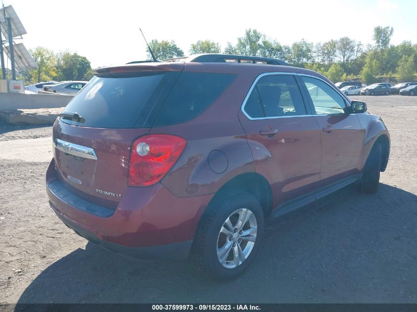 Photo 3 VIN: 2CNFLEEW5A6231931 - CHEVROLET EQUINOX 