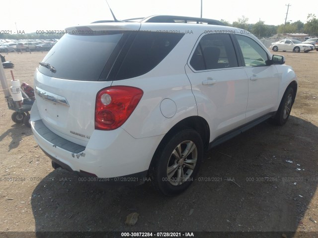 Photo 3 VIN: 2CNFLEEW8A6237724 - CHEVROLET EQUINOX 