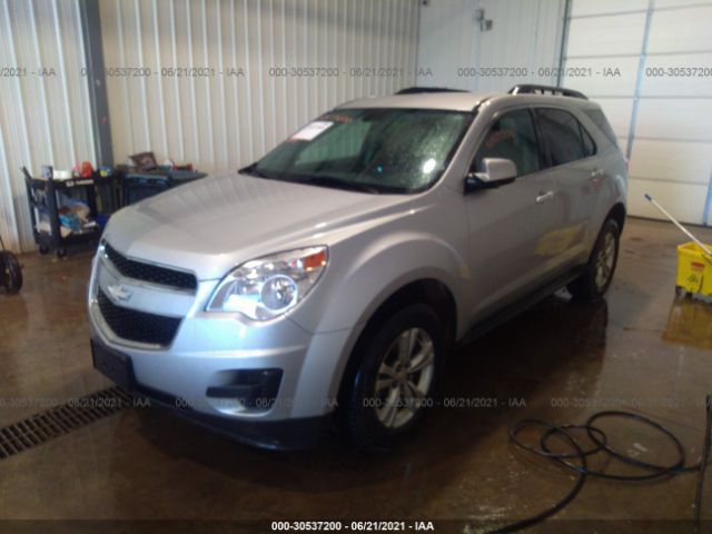 Photo 1 VIN: 2CNFLEEWXA6202604 - CHEVROLET EQUINOX 