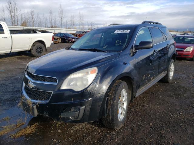 Photo 1 VIN: 2CNFLEEWXA6366614 - CHEVROLET EQUINOX LT 