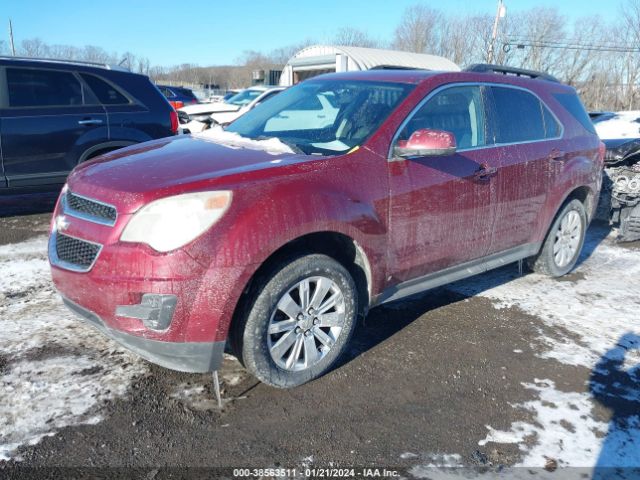 Photo 1 VIN: 2CNFLEEY0A6207490 - CHEVROLET EQUINOX 