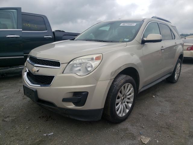 Photo 1 VIN: 2CNFLEEY0A6364274 - CHEVROLET EQUINOX LT 