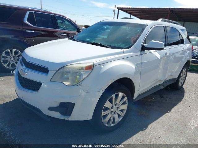 Photo 1 VIN: 2CNFLEEY1A6396103 - CHEVROLET EQUINOX 