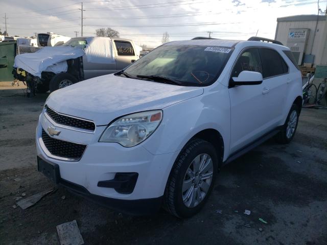 Photo 1 VIN: 2CNFLEEY3A6261429 - CHEVROLET EQUINOX LT 