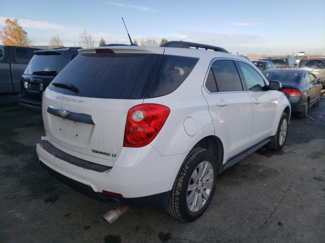 Photo 3 VIN: 2CNFLEEY3A6261429 - CHEVROLET EQUINOX LT 