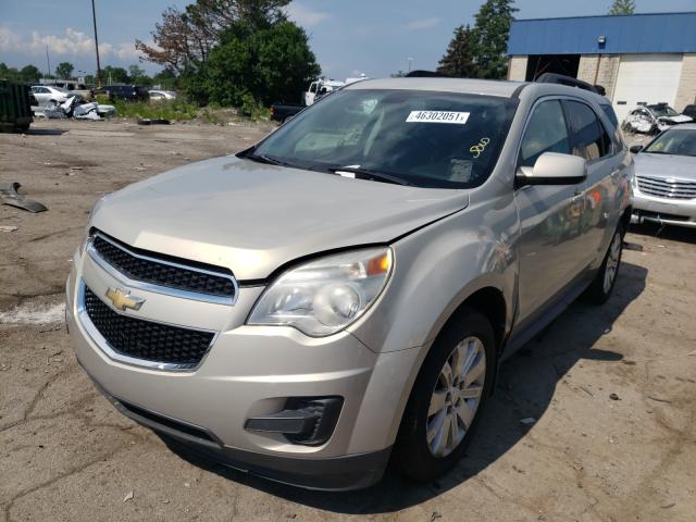 Photo 1 VIN: 2CNFLEEY9A6358084 - CHEVROLET EQUINOX LT 