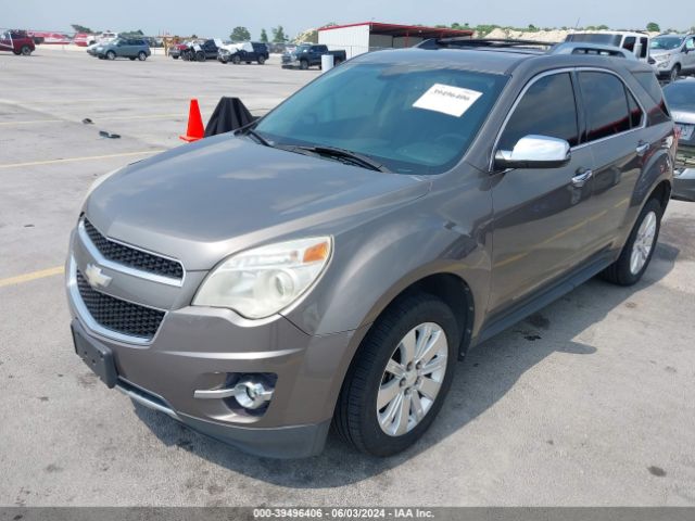 Photo 1 VIN: 2CNFLFE54B6295649 - CHEVROLET EQUINOX 