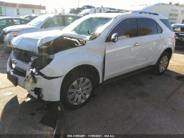 Photo 1 VIN: 2CNFLFE56B6366060 - CHEVROLET EQUINOX 