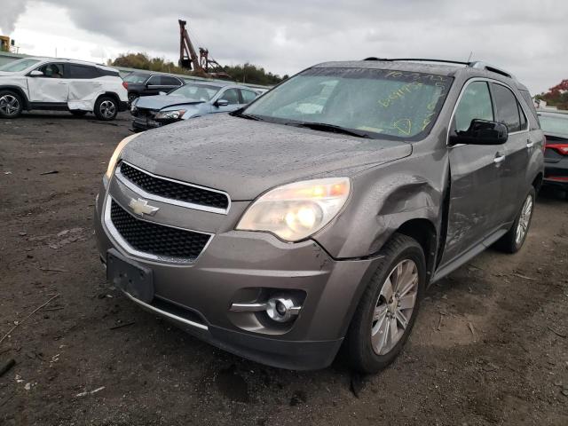 Photo 1 VIN: 2CNFLFE5XB6257679 - CHEVROLET EQUINOX 