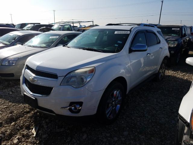 Photo 1 VIN: 2CNFLFEY6A6339398 - CHEVROLET EQUINOX LT 