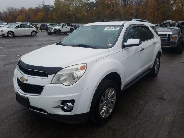 Photo 1 VIN: 2CNFLGE51B6448803 - CHEVROLET EQUINOX LT 