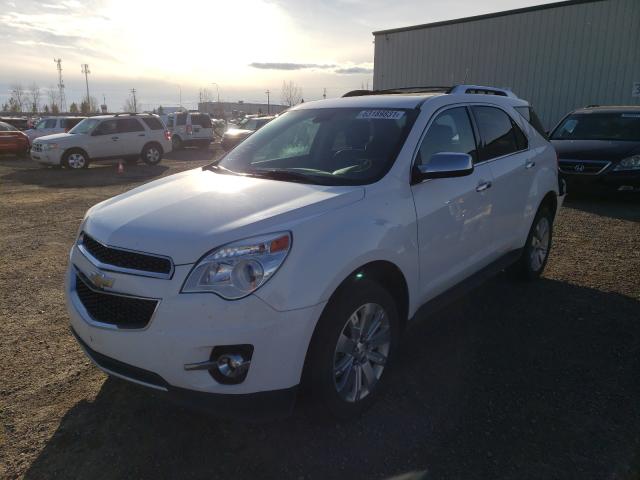 Photo 1 VIN: 2CNFLGE57B6319206 - CHEVROLET EQUINOX LT 