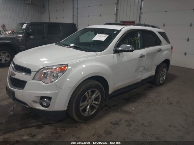 Photo 1 VIN: 2CNFLGECXB6304049 - CHEVROLET EQUINOX 