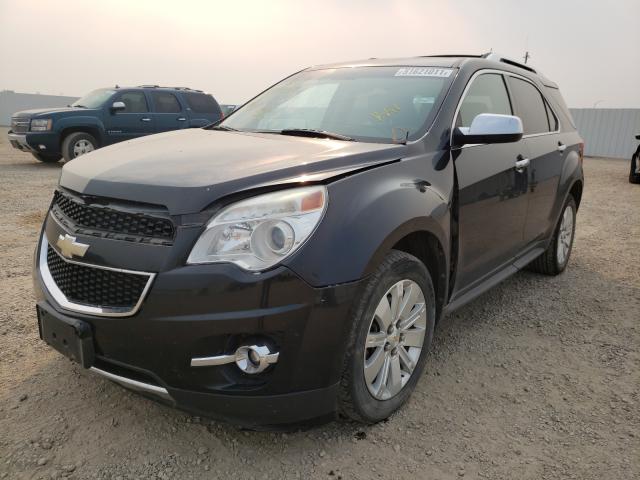 Photo 1 VIN: 2CNFLGEY6A6399008 - CHEVROLET EQUINOX LT 