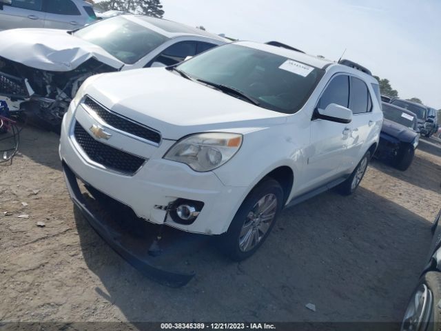 Photo 1 VIN: 2CNFLNE50B6338393 - CHEVROLET EQUINOX 