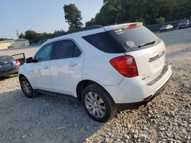 Photo 1 VIN: 2CNFLNE51B6225309 - CHEVROLET EQUINOX LT 