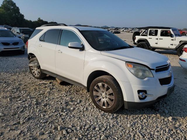 Photo 3 VIN: 2CNFLNE51B6225309 - CHEVROLET EQUINOX LT 