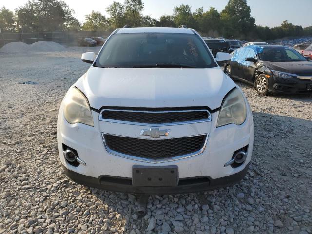 Photo 4 VIN: 2CNFLNE51B6225309 - CHEVROLET EQUINOX LT 