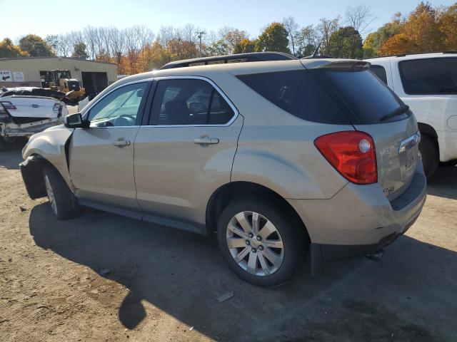 Photo 1 VIN: 2CNFLNE56B6208893 - CHEVROLET EQUINOX LT 