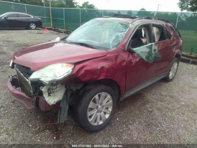 Photo 1 VIN: 2CNFLNE58B6378320 - CHEVROLET EQUINOX 