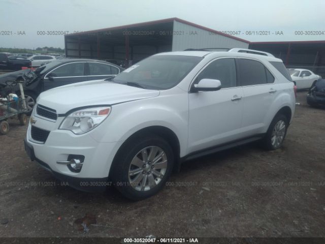 Photo 1 VIN: 2CNFLNE59B6246800 - CHEVROLET EQUINOX 