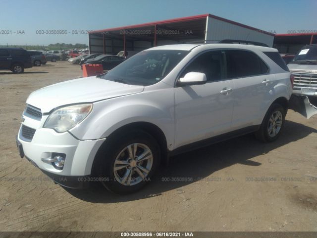 Photo 1 VIN: 2CNFLNEC8B6321274 - CHEVROLET EQUINOX 