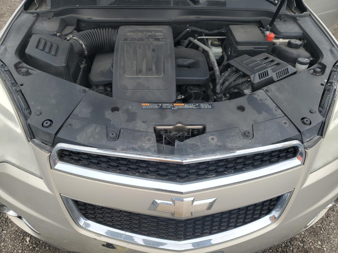 Photo 11 VIN: 2CNFLNEC8B6411539 - CHEVROLET EQUINOX 