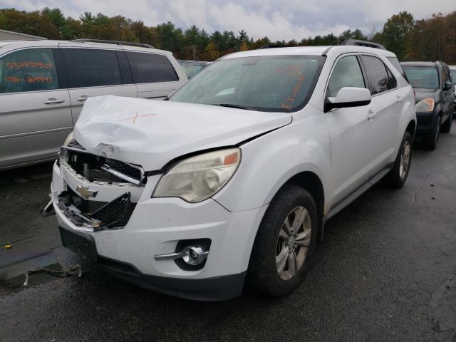 Photo 1 VIN: 2CNFLNECXB6206644 - CHEVROLET EQUINOX LT 