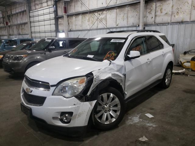 Photo 1 VIN: 2CNFLNEW9A6266195 - CHEVROLET EQUINOX LT 