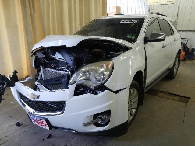 Photo 1 VIN: 2CNFLNEY8A6207334 - CHEVROLET EQUINOX LT 