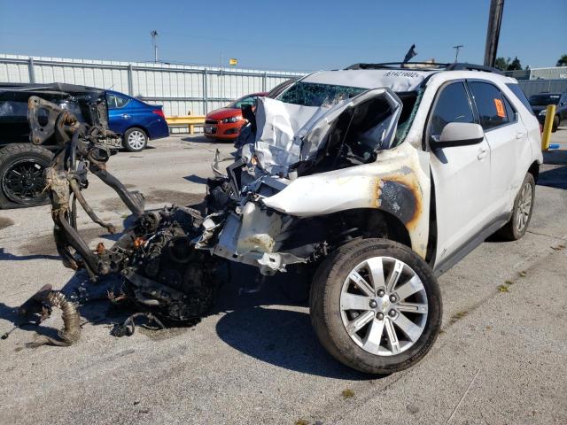 Photo 1 VIN: 2CNFLPE50B6440501 - CHEVROLET EQUINOX LT 