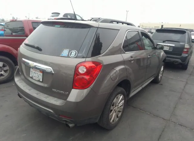 Photo 3 VIN: 2CNFLPE51B6332503 - CHEVROLET EQUINOX 