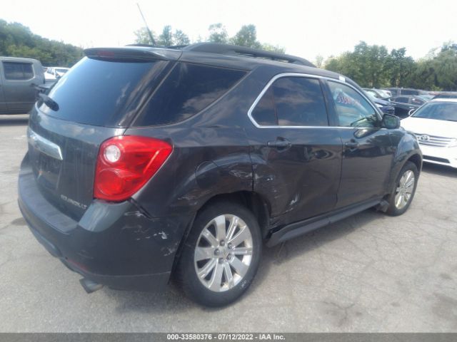 Photo 3 VIN: 2CNFLPEY6A6310828 - CHEVROLET EQUINOX 