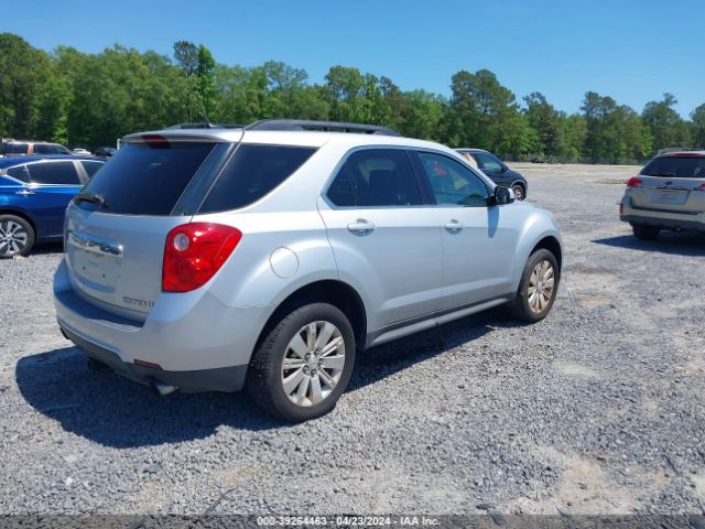 Photo 3 VIN: 2CNFLPEY8A6206972 - CHEVROLET EQUINOX 