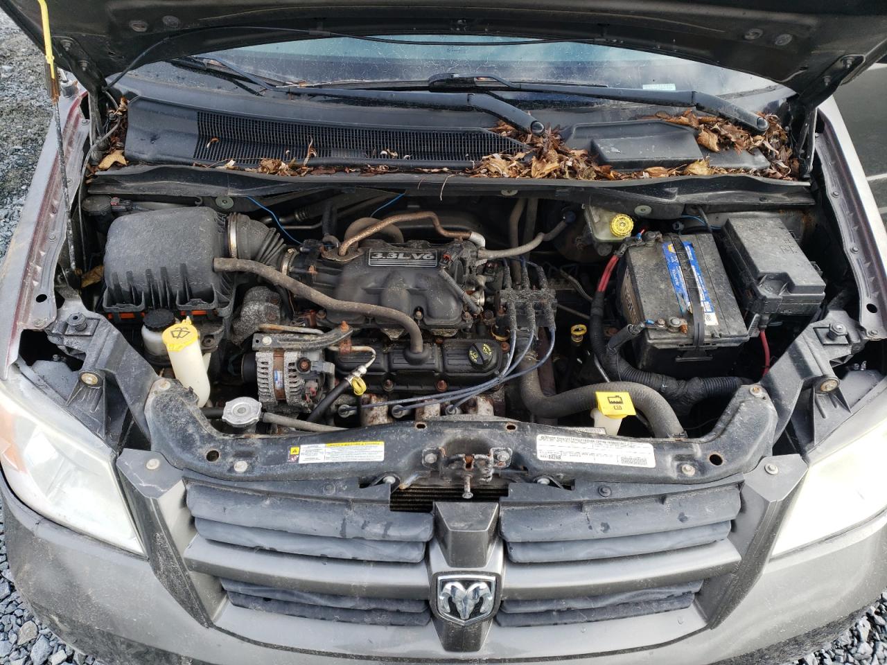 Photo 11 VIN: 2D4RN4DE2AR417555 - DODGE CARAVAN 