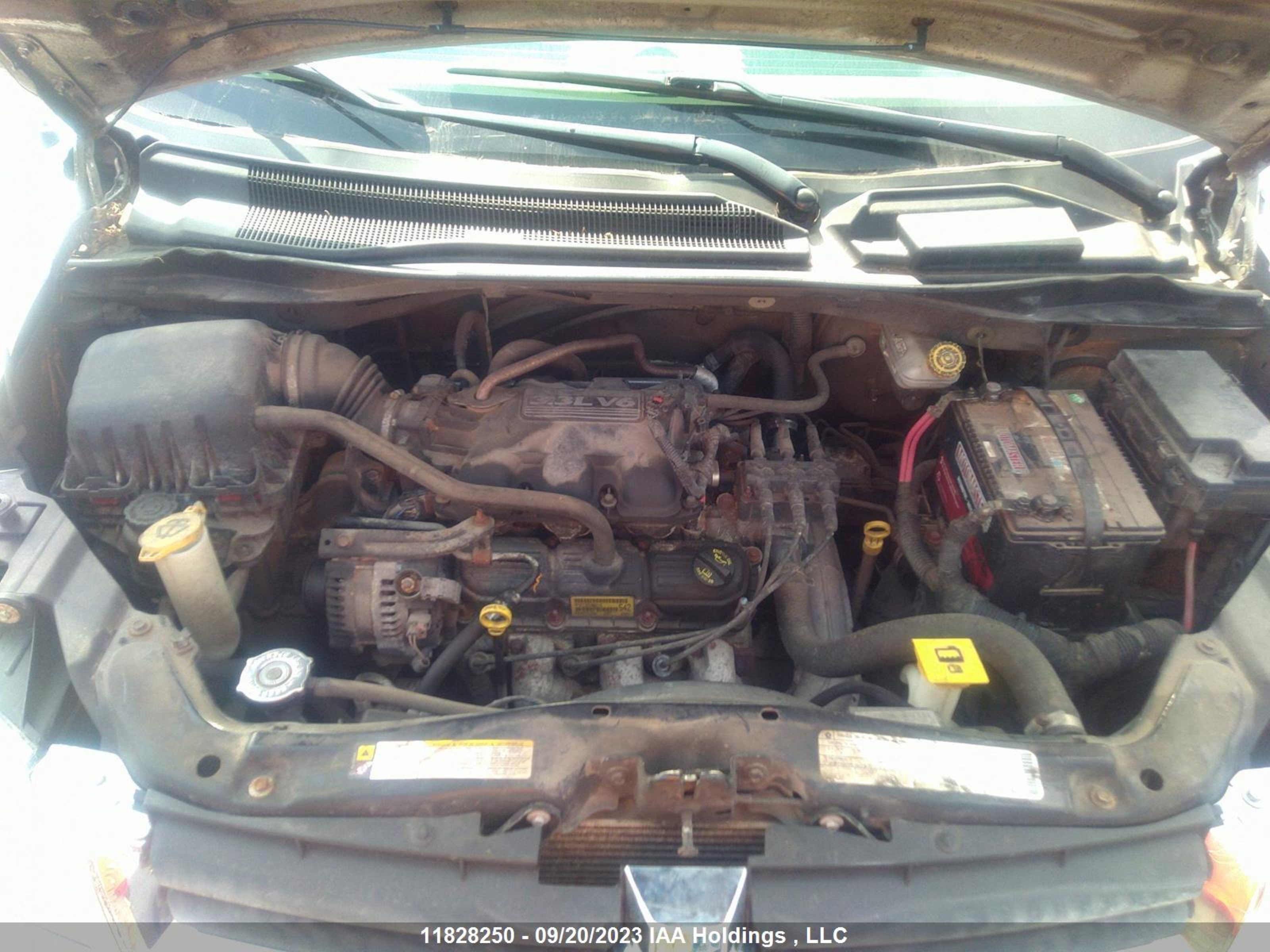 Photo 9 VIN: 2D4RN4DE3AR156047 - DODGE CARAVAN 