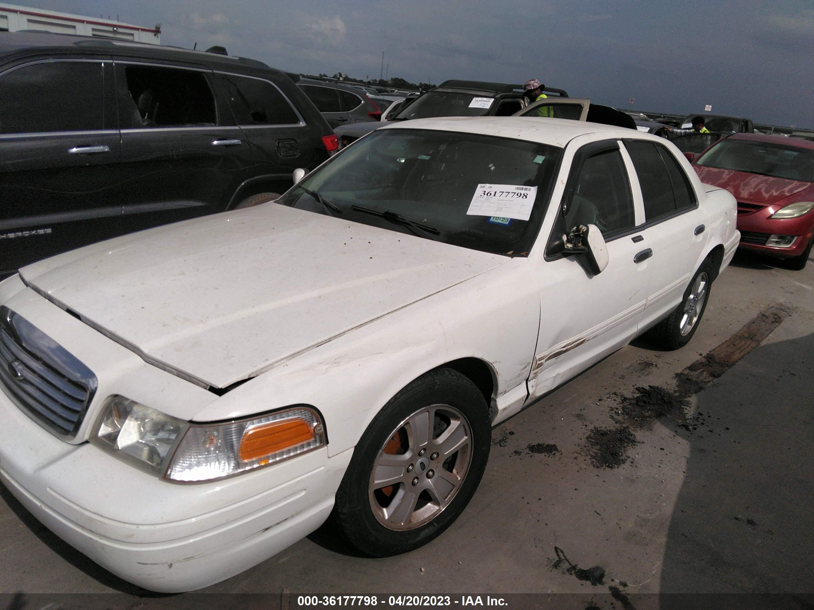 Photo 5 VIN: 2FABP7EV1BX130414 - FORD CROWN VICTORIA 