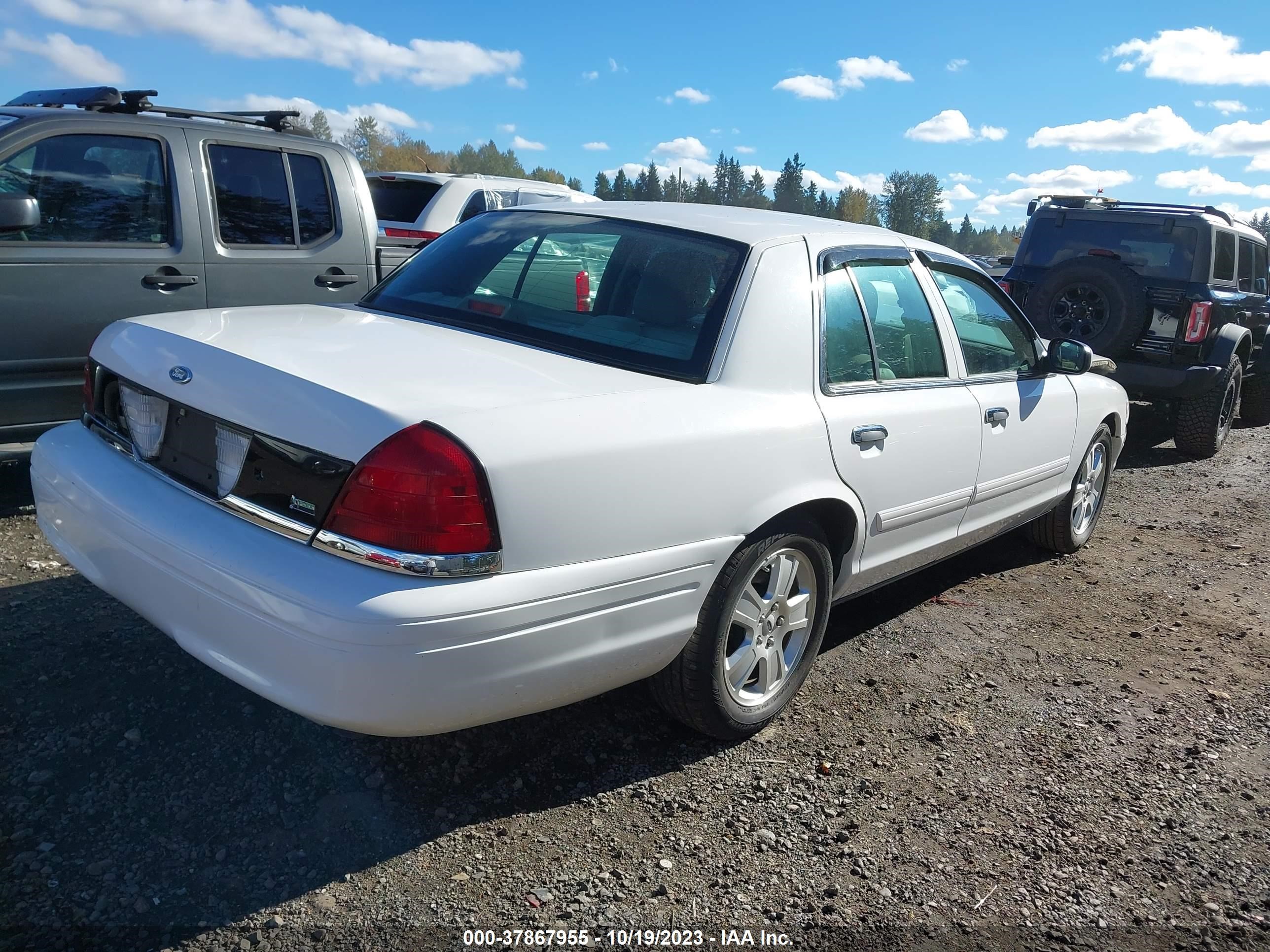 Photo 3 VIN: 2FABP7EV4BX130424 - FORD CROWN VICTORIA 