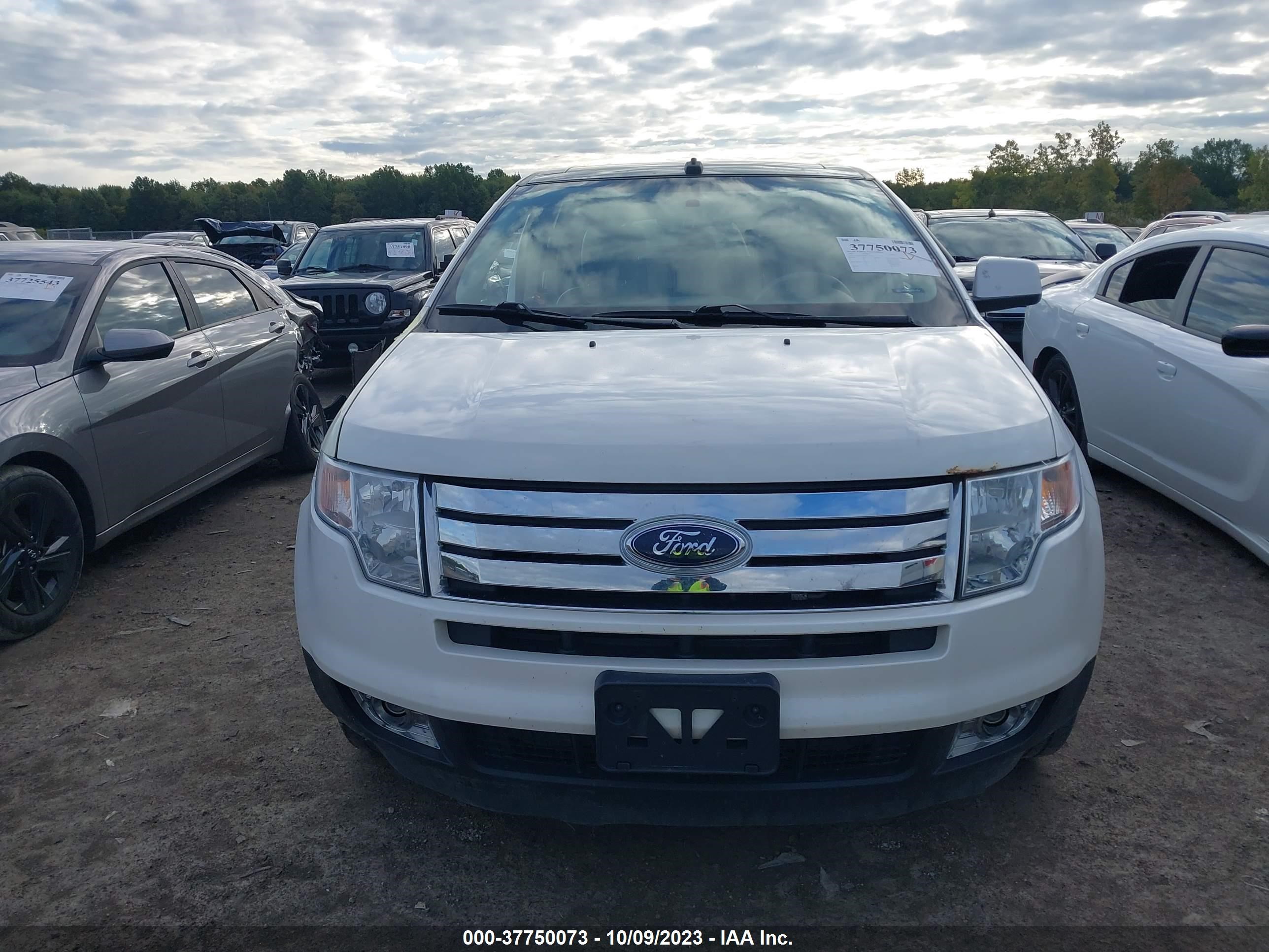 Photo 11 VIN: 2FMDK38C09BA71587 - FORD EDGE 