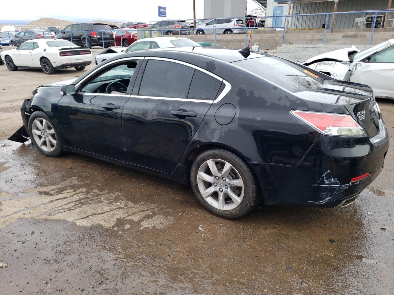 Photo 1 VIN: 2FMDK38C89BA97032 - ACURA TL 