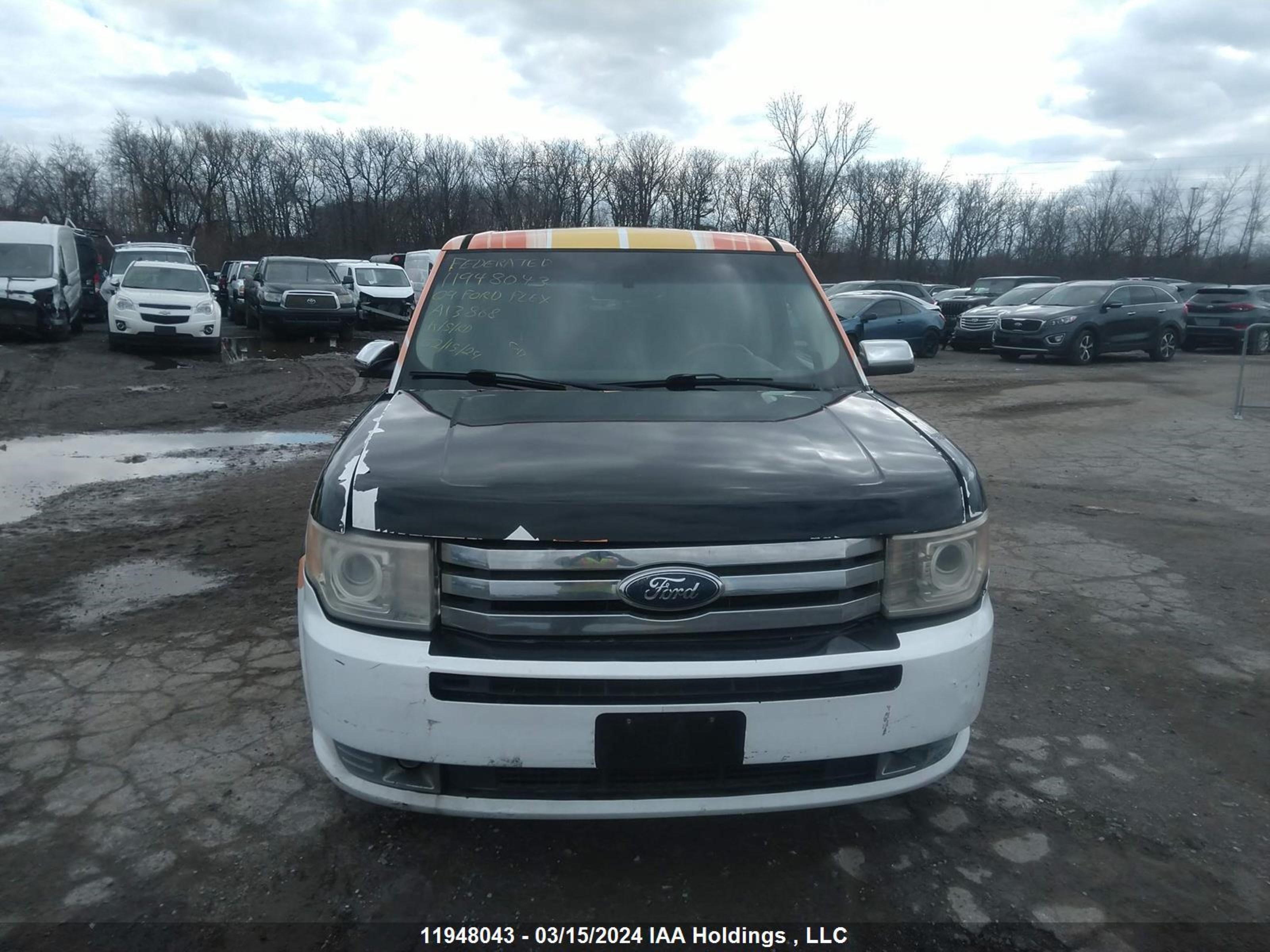 Photo 12 VIN: 2FMEK63C89BA13868 - FORD FLEX 