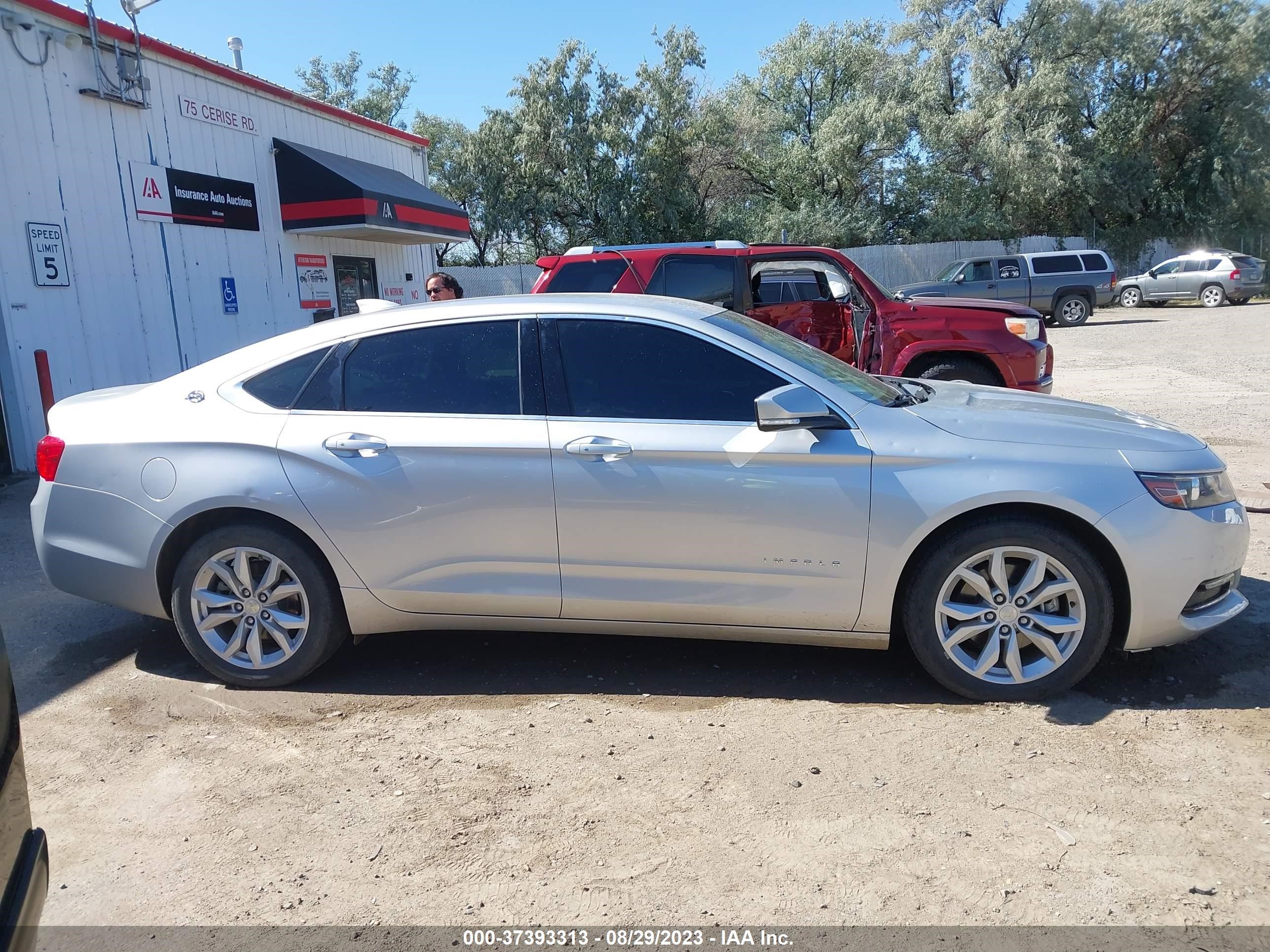 Photo 12 VIN: 2G1105S32J9125316 - CHEVROLET IMPALA 