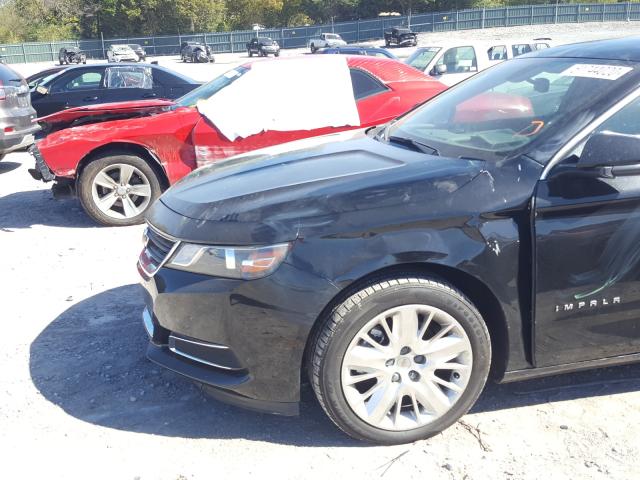 Photo 8 VIN: 2G11Y5S33K9121494 - CHEVROLET IMPALA LS 